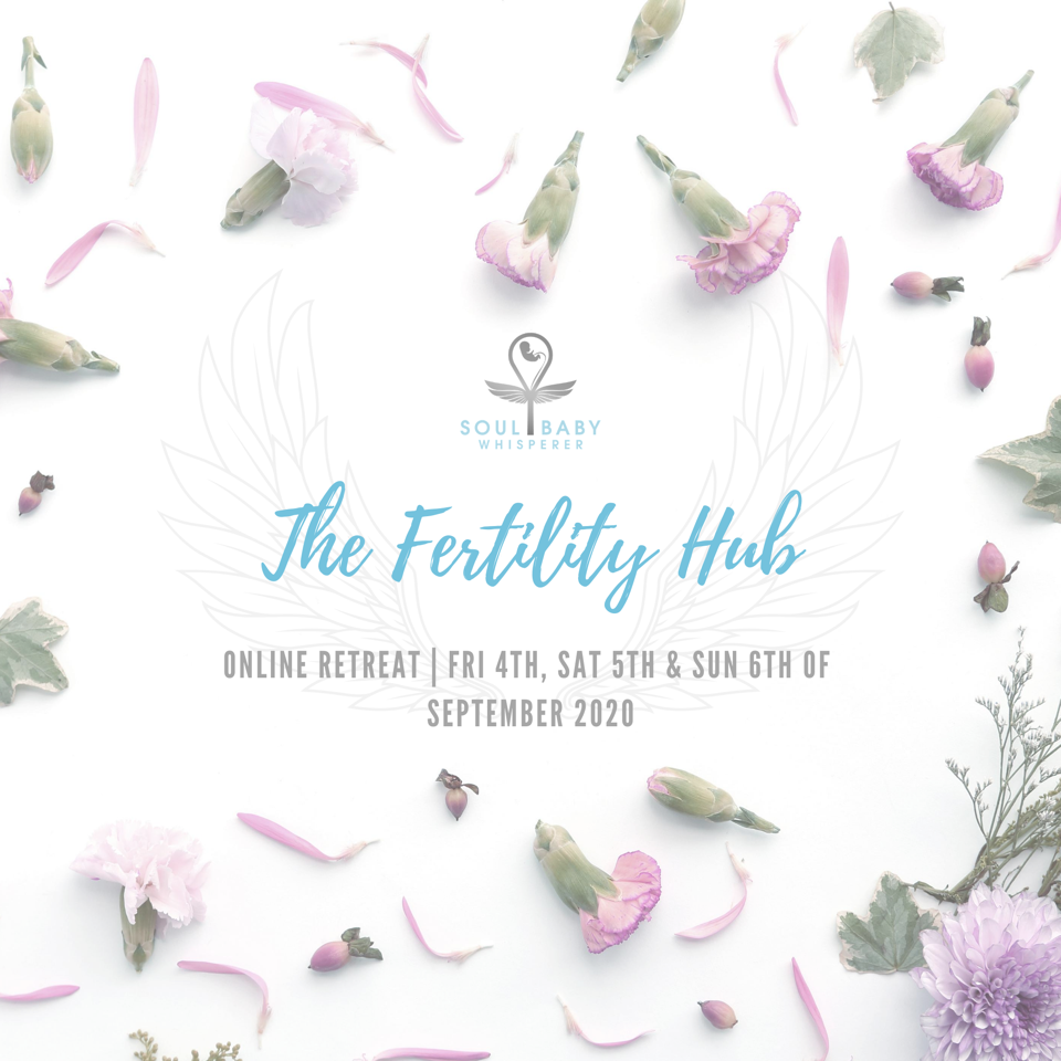 Cover Art - The Fertility Hub
